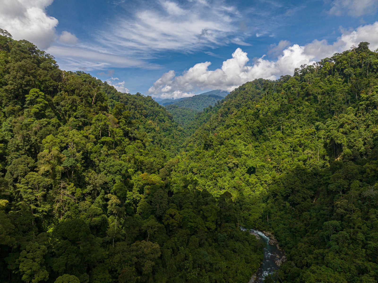 Bukit Lawang