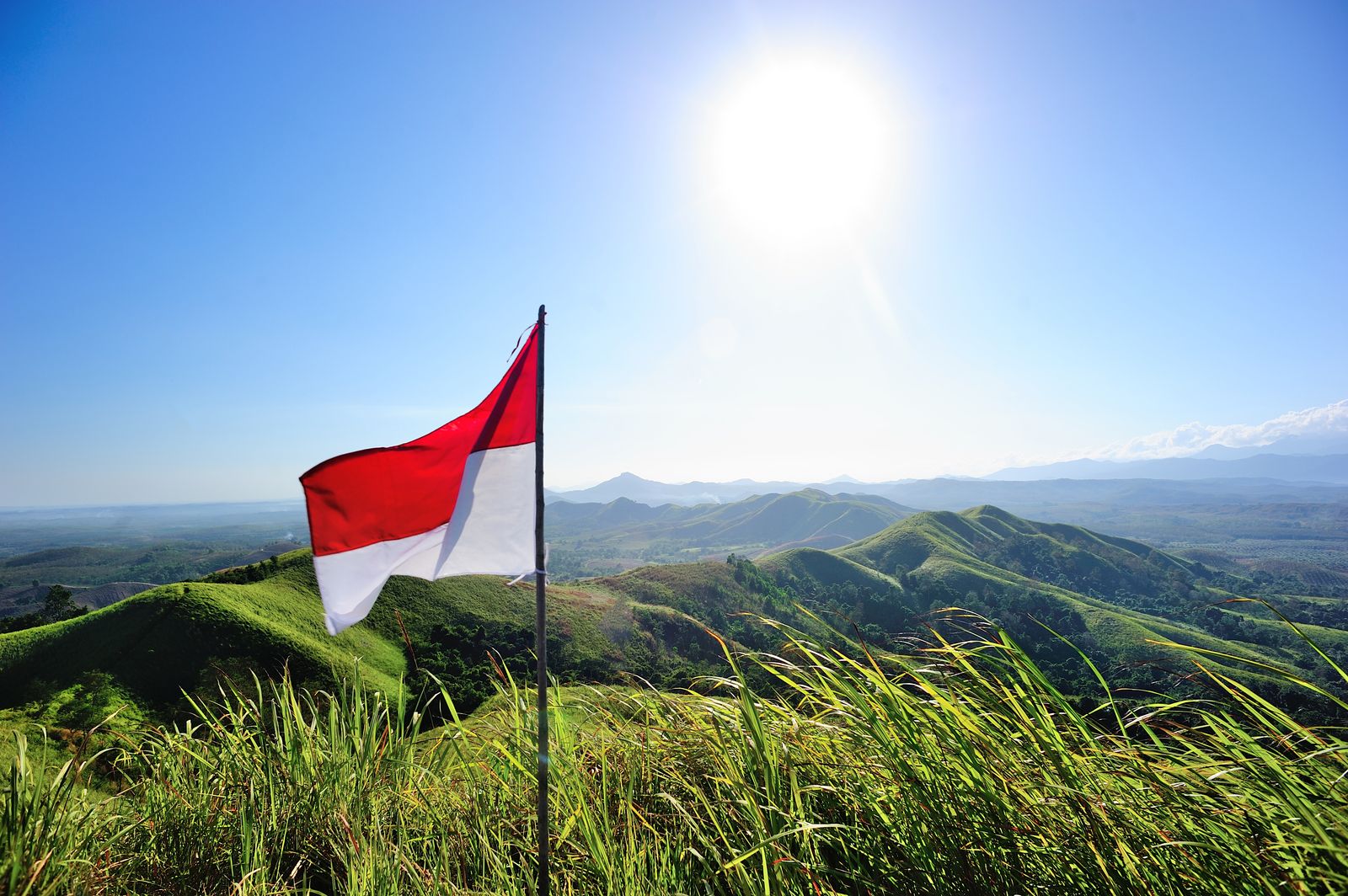 Bukit Telang